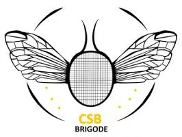 Logo CSB Brigode